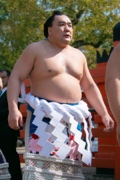 Harumafuji