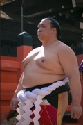 Kisenosato
